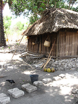 West Timor traditional home